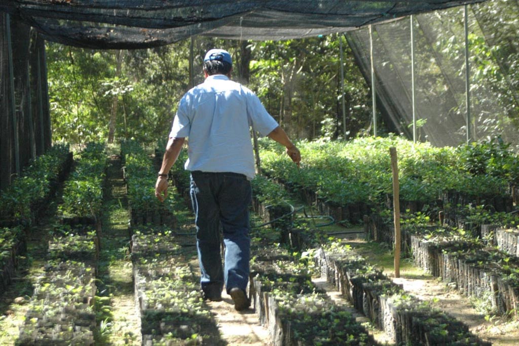 Tour Coffee Plantation Huatulco